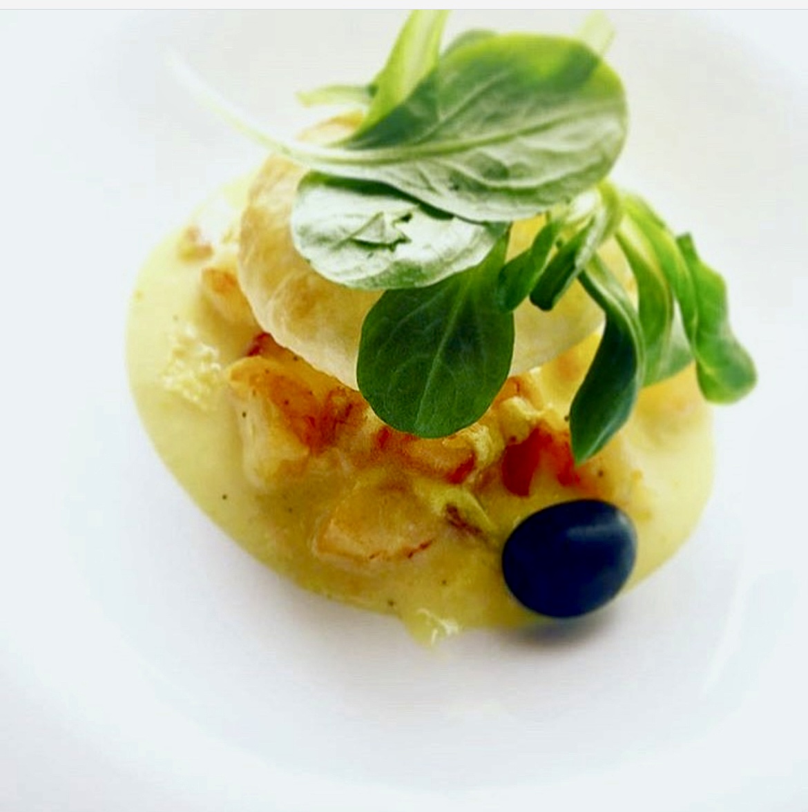 Vol au vent de gambas à la sauce hollandaise